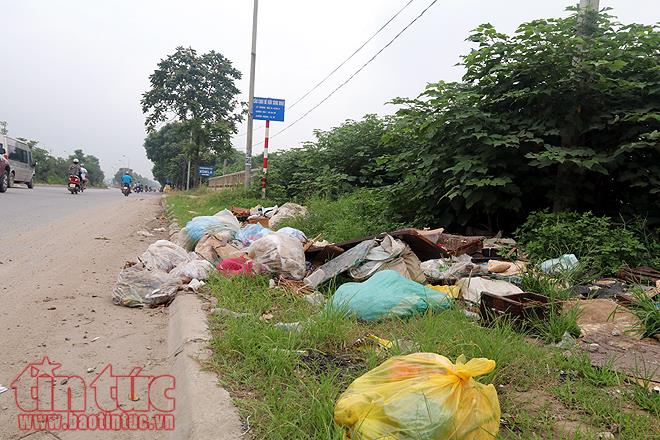 Đại lộ Thăng Long cỏ dại cao ngút đầu, ngổn ngang rác thải ảnh 19
