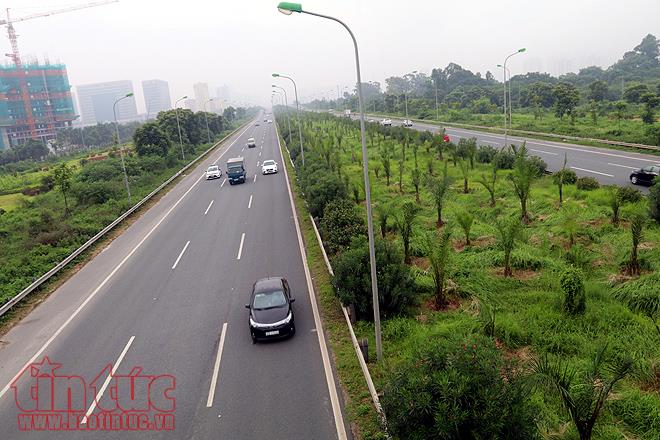 Đại lộ Thăng Long cỏ dại cao ngút đầu, ngổn ngang rác thải ảnh 10