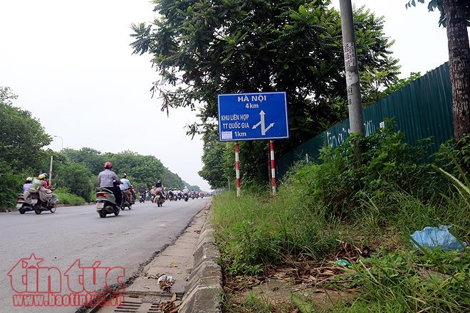 Đại lộ Thăng Long cỏ dại cao ngút đầu, ngổn ngang rác thải ảnh 13