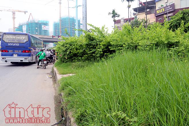 Đại lộ Thăng Long cỏ dại cao ngút đầu, ngổn ngang rác thải ảnh 15