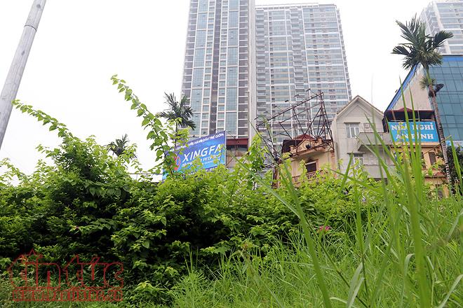 Đại lộ Thăng Long cỏ dại cao ngút đầu, ngổn ngang rác thải ảnh 22