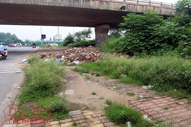 Đại lộ Thăng Long cỏ dại cao ngút đầu, ngổn ngang rác thải ảnh 16