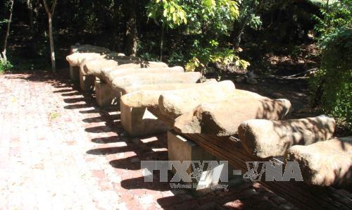 Du lịch Việt Nam: Độc đáo Khu bảo tồn lan rừng Troh Bư ảnh 2
