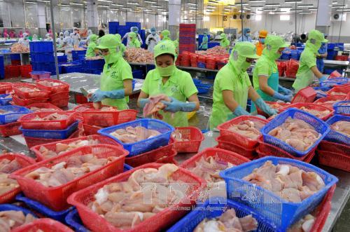 Cá tra 'mắc cạn' ở thị trường Hoa Kỳ ảnh 1