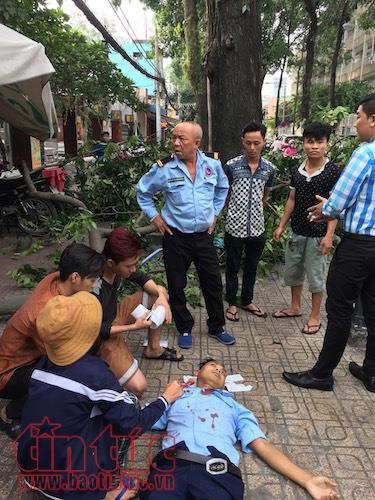 Cây xanh liên tiếp gãy đổ dù không mưa dông ảnh 2