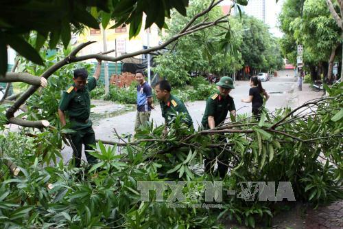 Hàng nghìn héc ta lúa, hoa màu bị ngập úng, gãy đổ do bão ảnh 2