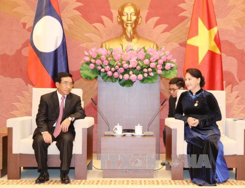 Chủ tịch Quốc hội tiếp Phó Chủ tịch nước Lào Phankham Viphavanh ảnh 1