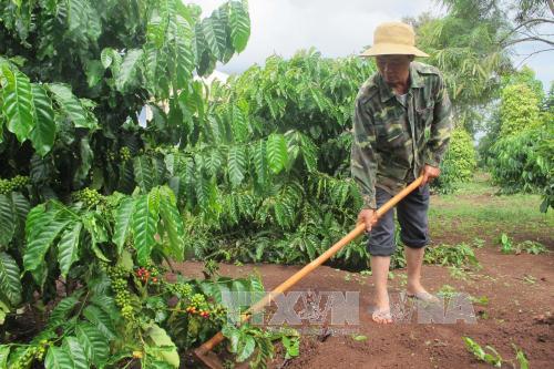 Người thương binh nặng lòng với công tác xã hội ảnh 1