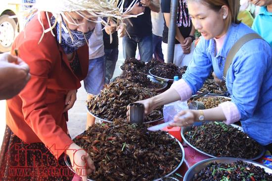 Khám phá chợ côn trùng đặc sản ‘nhìn phát khiếp’ ở đất nước Chùa Tháp ảnh 4