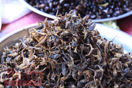 Khám phá chợ côn trùng đặc sản ‘nhìn phát khiếp’ ở đất nước Chùa Tháp ảnh 10