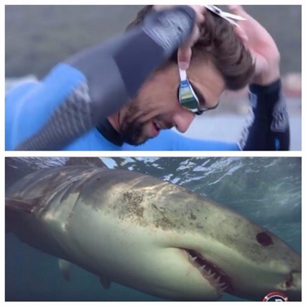 ‘Kình ngư’ Michael Phelps bơi thi cùng cá mập trắng ảnh 1
