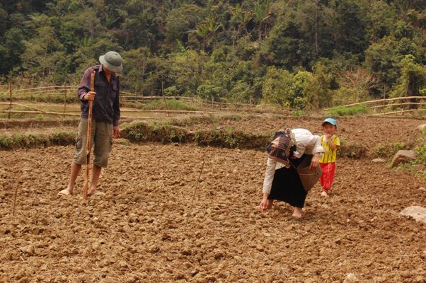 Phát triển toàn diện cho vùng 4 dân tộc rất ít người ảnh 2