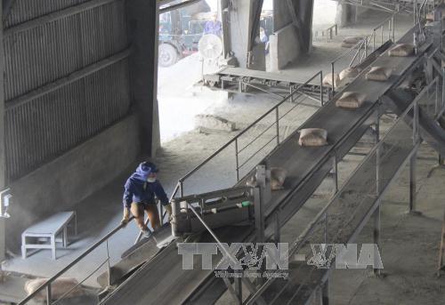 Thừa cung xi măng: 'Giải cứu' hay không? ảnh 1