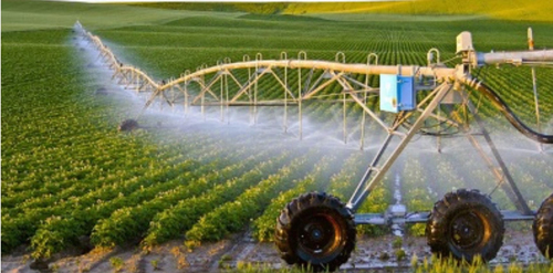 Agribank góp phần nâng cao sức cạnh tranh của nông sản Việt ảnh 1