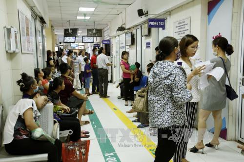 Các địa phương nên công bố dịch sốt xuất huyết ảnh 1
