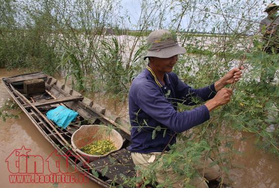 Hút hồn chợ quê mùa nước nổi ở Đồng Tháp Mười ảnh 3