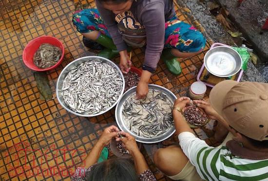 Hút hồn chợ quê mùa nước nổi ở Đồng Tháp Mười ảnh 7