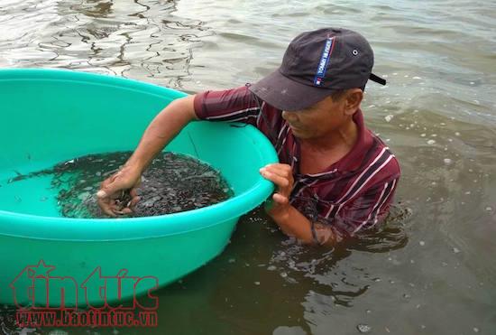 Hút hồn chợ quê mùa nước nổi ở Đồng Tháp Mười ảnh 12
