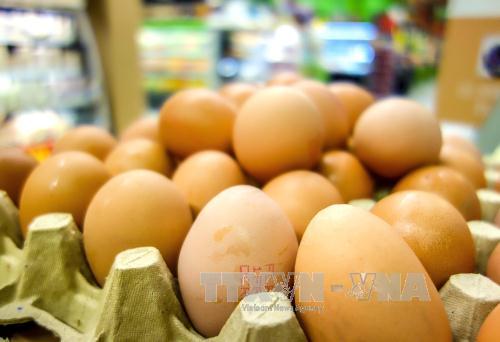 Thêm một quốc gia châu Âu phát hiện 'trứng bẩn'