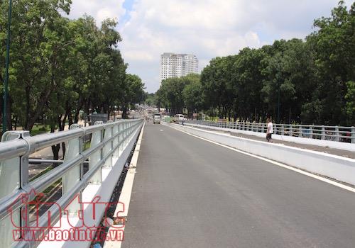 Đốn hạ 123 cây xanh giải quyết ùn tắc giao thông khu vực sân bay Tân Sơn Nhất ảnh 1