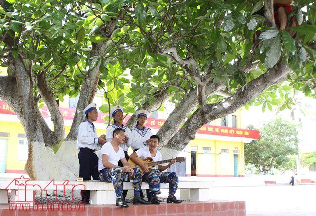 Lung linh sắc hoa bàng vuông ở Trường Sa ảnh 8