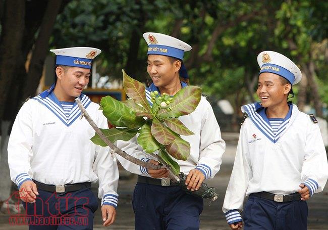 Lung linh sắc hoa bàng vuông ở Trường Sa ảnh 7