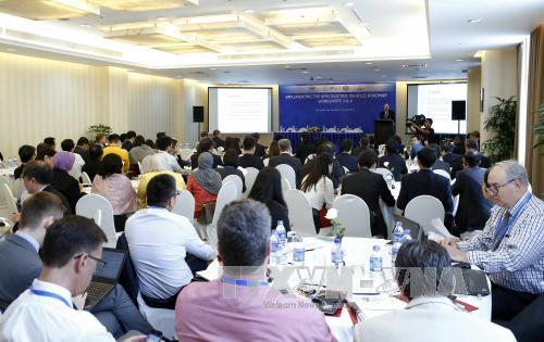 APEC 2017: Thúc đẩy sử dụng phương tiện năng lượng điện ảnh 1