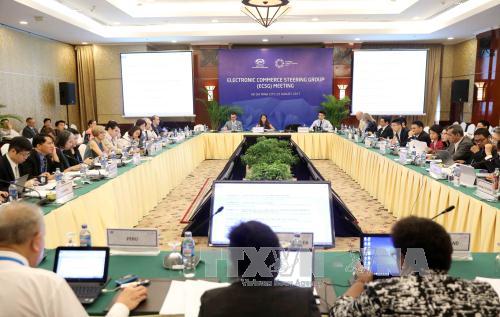 APEC 2017: Thương mại điện tử được kỳ vọng thúc đẩy kinh tế khu vực phát triển ảnh 1