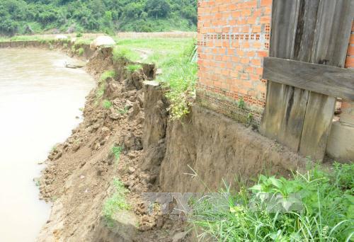 Sạt lở bờ sông Krông Nô đe dọa 'nuốt chửng' nhà dân ảnh 1