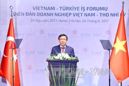 Tăng cường hợp tác kinh tế Việt Nam - Thổ Nhĩ Kỳ ảnh 1