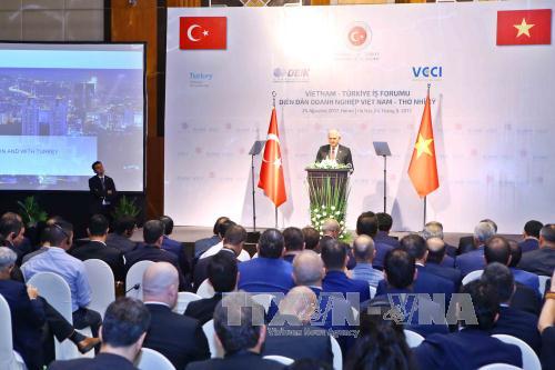 Tăng cường hợp tác kinh tế Việt Nam - Thổ Nhĩ Kỳ ảnh 2