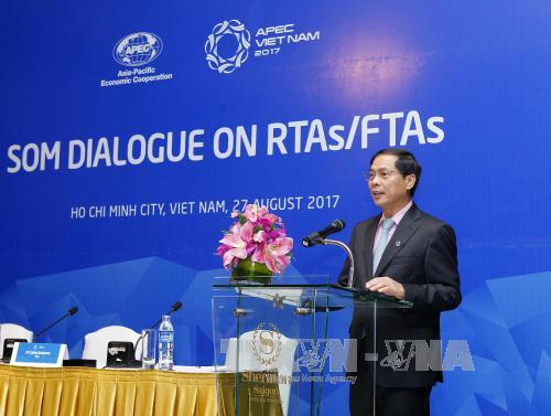 APEC 2017: Đẩy mạnh liên kết kinh tế khu vực châu Á – Thái Bình Dương ảnh 1
