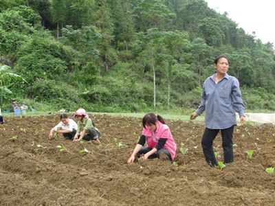 Phát triển đảng viên nữ người dân tộc thiểu số ảnh 1