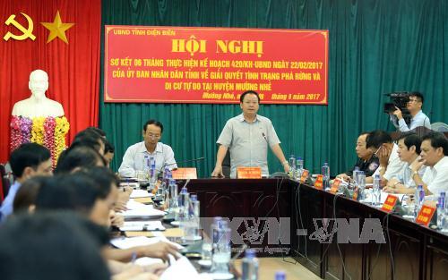 Cơ bản ngăn chặn tình trạng phá rừng ở Mường Nhé, Điện Biên ảnh 1