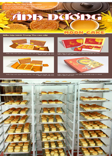 Bánh trung thu cổ truyền Ánh Dương ảnh 2