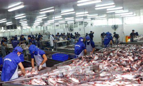 Kết luận sơ bộ về chống bán phá giá lần thứ 13 đối với cá tra - basa của Việt Nam ảnh 1