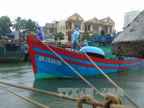 Phó Thủ tướng Trịnh Đình Dũng chỉ đạo ứng phó với bão số 10 tại miền Trung ảnh 2