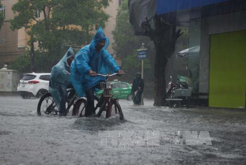 Thêm một người chết do bão số 10 tại Thanh Hóa ảnh 1