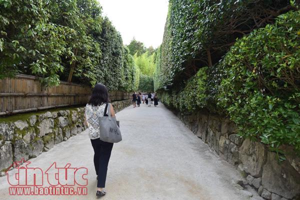 Chiêm ngưỡng ba ngôi chùa nổi tiếng ở cố đô Kyoto ảnh 3