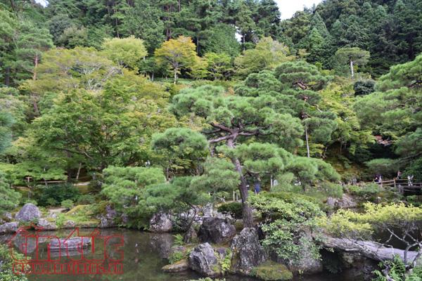 Chiêm ngưỡng ba ngôi chùa nổi tiếng ở cố đô Kyoto ảnh 4