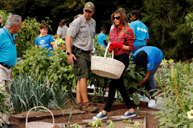 Đệ nhất phu nhân Melania Trump xắn tay làm vườn 'di sản' của bà Obama ảnh 3