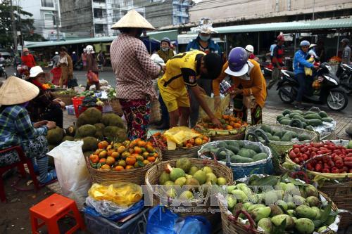 Hoạt động mua bán tại chợ đầu mối nông sản phường 7 (Cà Mau). Ảnh: Kim Há/TTXVN