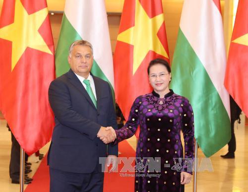 Chủ tịch Quốc hội Nguyễn Thị Kim Ngân tiếp Thủ tướng Hungary ảnh 1
