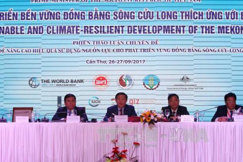 Huy động các nguồn lực cho vùng Đồng bằng sông Cửu Long phát triển bền vững ảnh 1