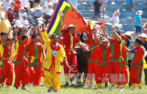 Lễ hội Chọi trâu Đồ Sơn năm 2017: Hấp dẫn và an toàn ảnh 2