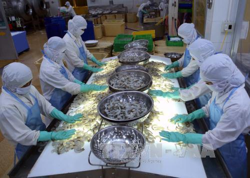 GDP 9 tháng tăng 6,41%, cả năm có thể đạt 6,7% ảnh 2