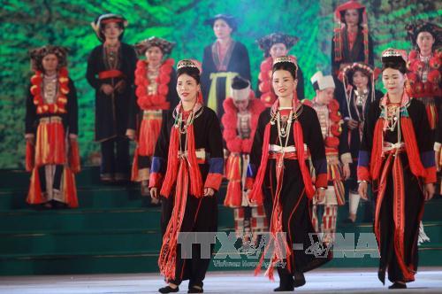 Khai mạc Ngày hội văn hóa dân tộc Dao toàn quốc lần thứ nhất ảnh 3