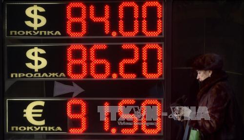 Tổng thống Putin chủ trương không dùng USD tại các cảng biển Nga ảnh 2