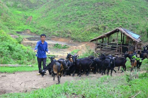 Lan tỏa thông điệp 'Cả nước chung tay vì người nghèo' ảnh 1