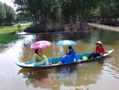Đổi thay vùng bãi ngang ven biển và hải đảo Bạc Liêu ảnh 2